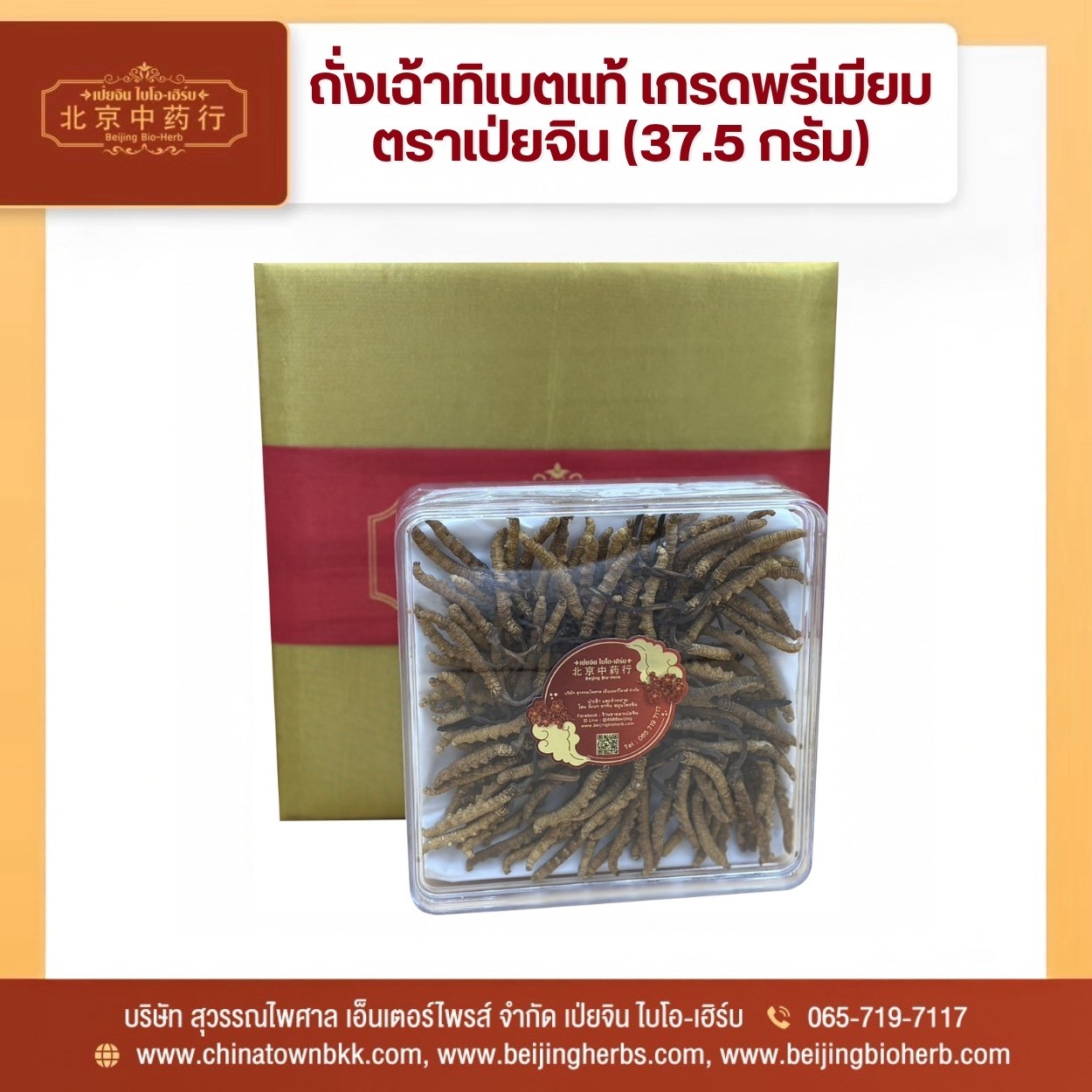 ถั่งเช่า