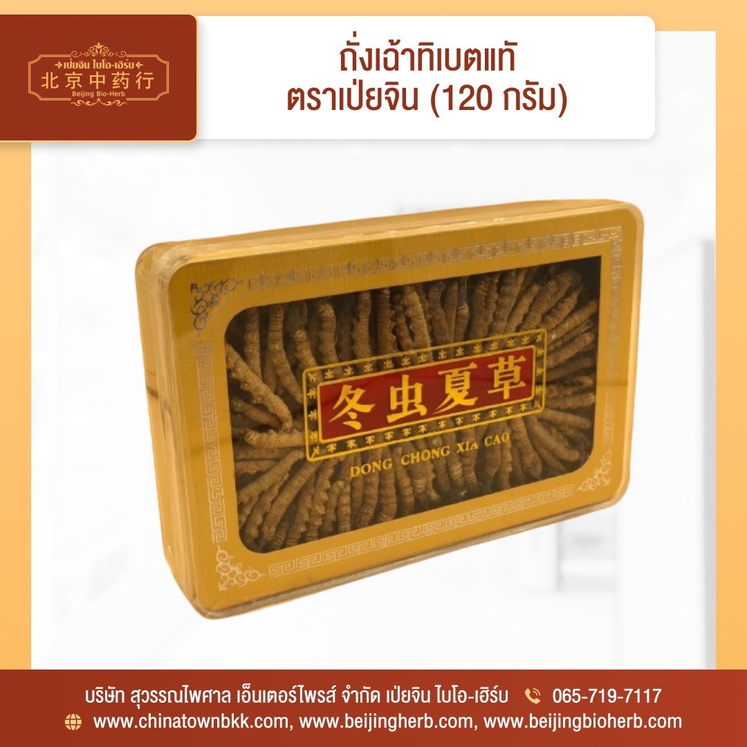 ถั่งเช่า