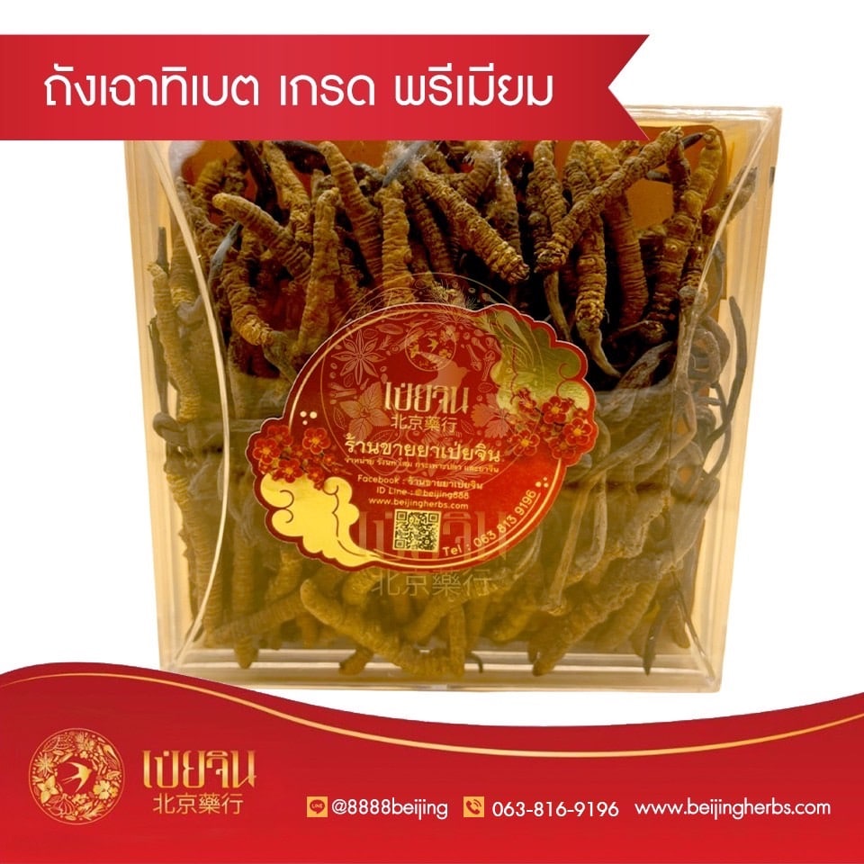 ถั่งเช่า