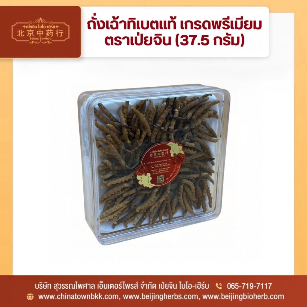 ถั่งเช่า