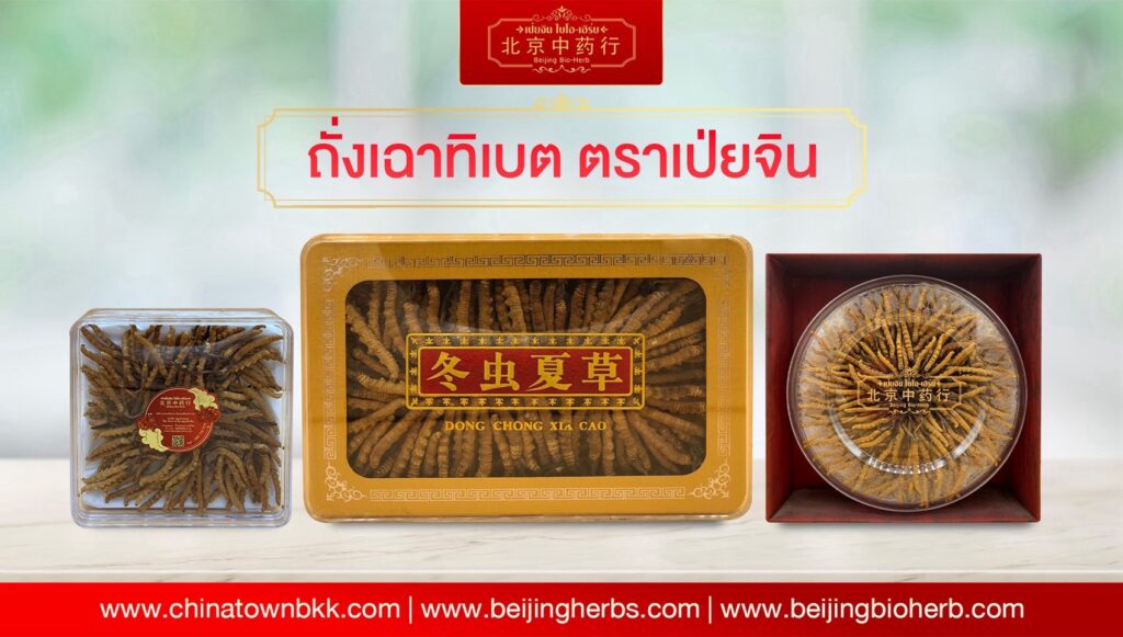 ถั่งเช่า