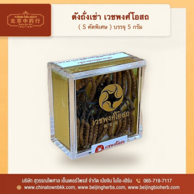 ถั่งเช่า