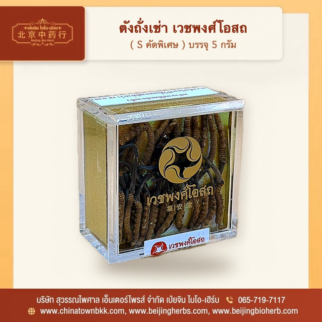 ตังถั่งเช่า เวชพงศ์โอสถ (S คัดพิเศษ 5 กรัม) - 4
