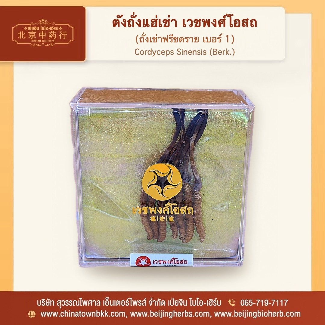 ตังถั่งแฮ่เช่า เวชพงศ์โอสถ - 1