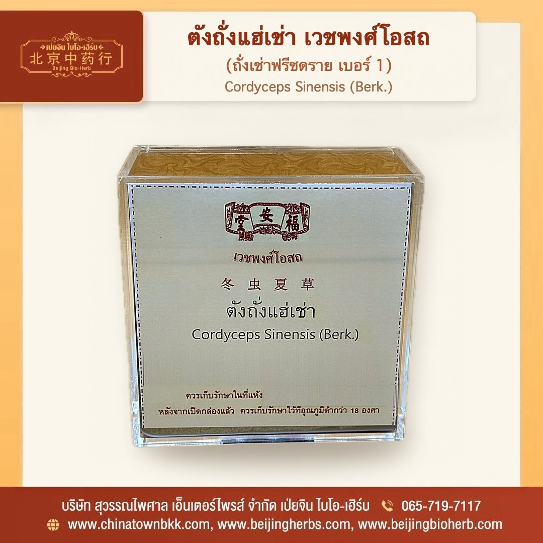ตังถั่งแฮ่เช่า เวชพงศ์โอสถ - 2
