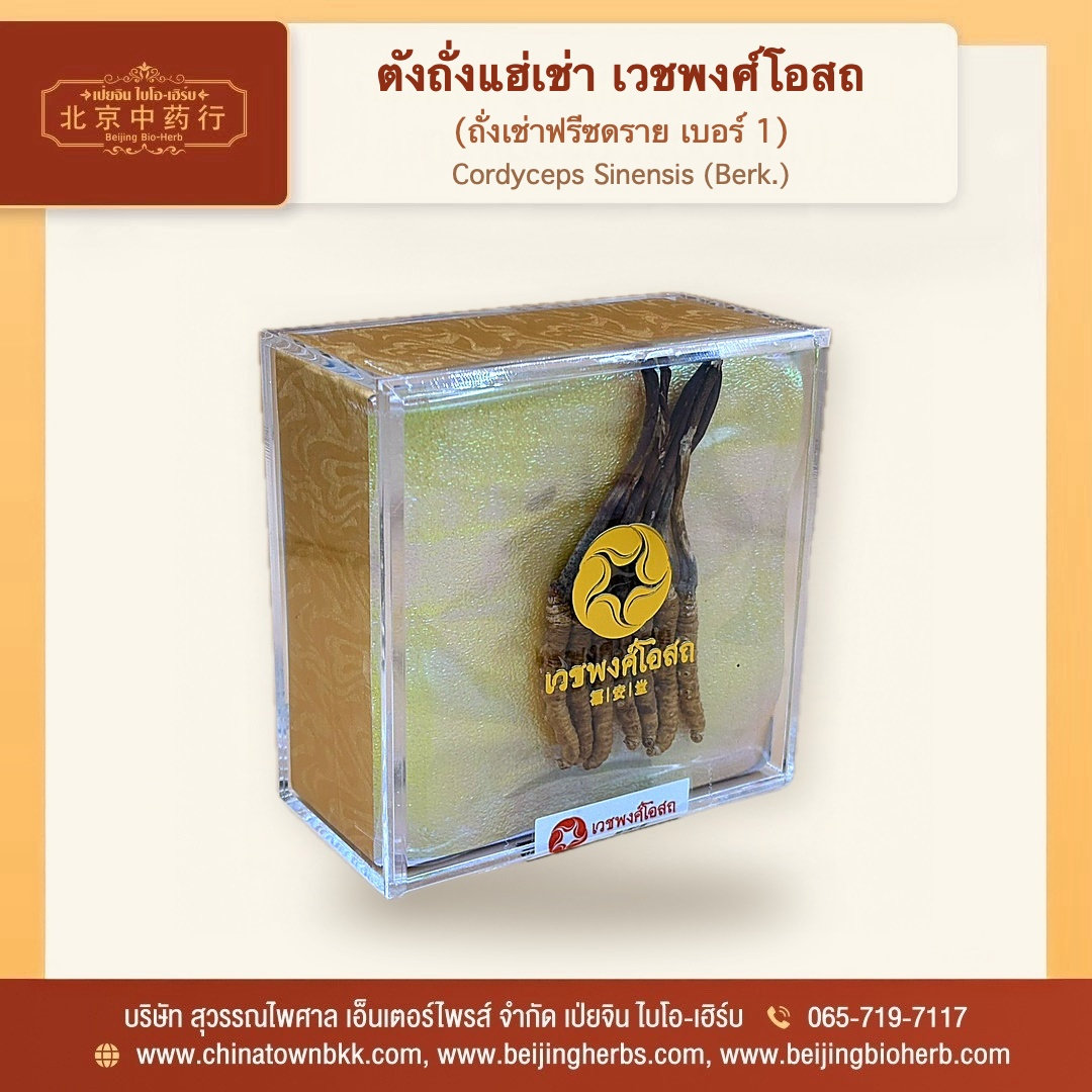 ตังถั่งแฮ่เช่า เวชพงศ์โอสถ - 3