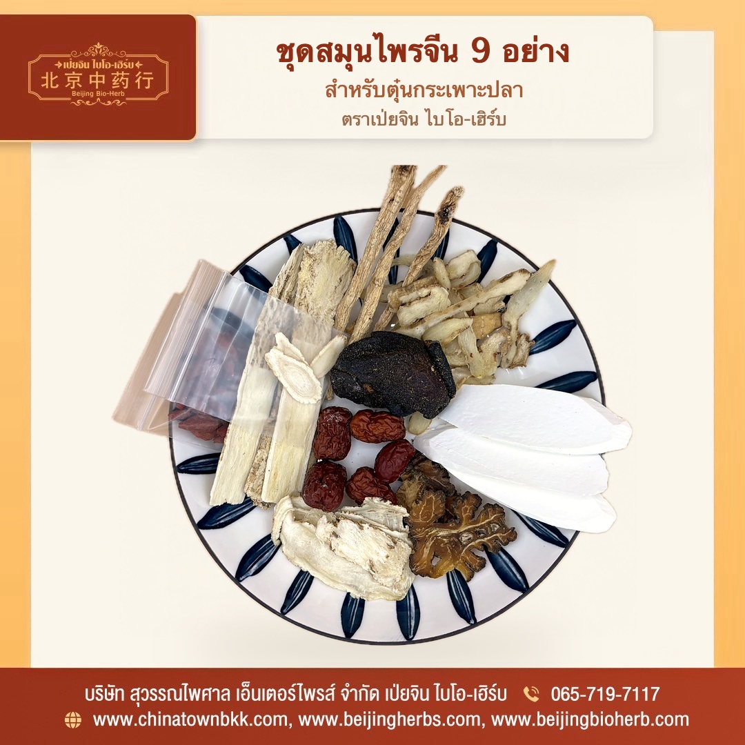 ชุดสมุนไพรจีน 9 อย่าง ตุ๋นกระเพาะปลา - 1 ชุดสมุนไพรจีน 9 อย่าง สำหรับตุ๋นกระเพาะปลา ตราเป่ยจิน ไบโอ-เฮิร์บ